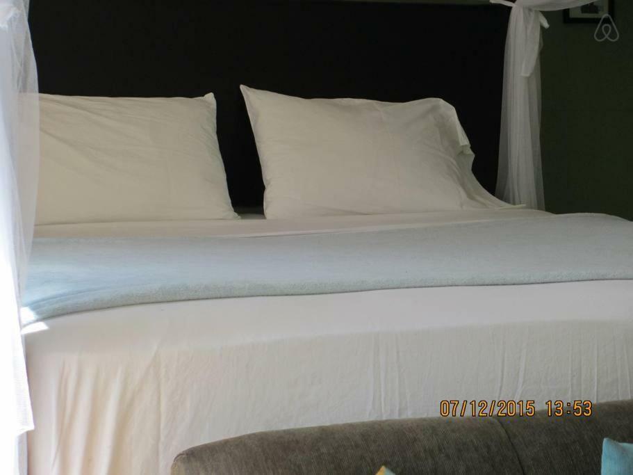 Kingsworth Bed And Breakfast Кингстън Екстериор снимка